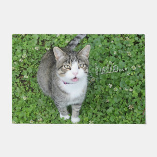 Chat in Clover Sprichwort Hallo Fußmatte