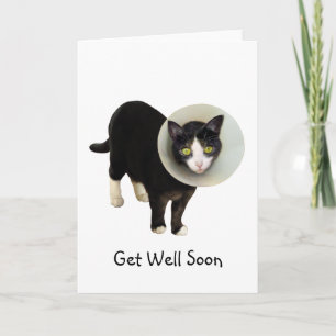 Chat in Cone Get Well Card Karte