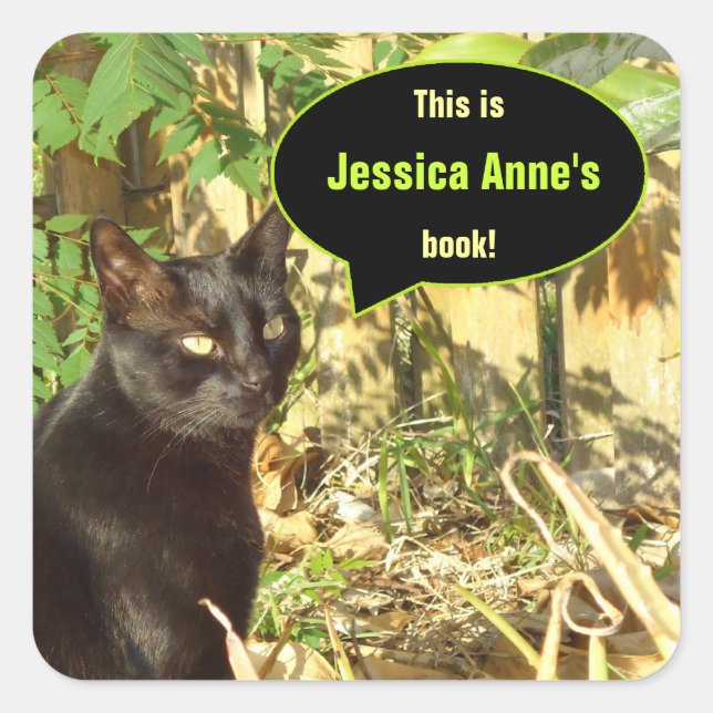 Chat in Morning Sun Benutzerdefinierte Buchzeichen Quadratischer Aufkleber (Vorderseite)