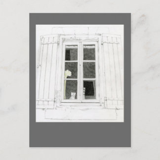 Chat in Window Postcard Postkarte