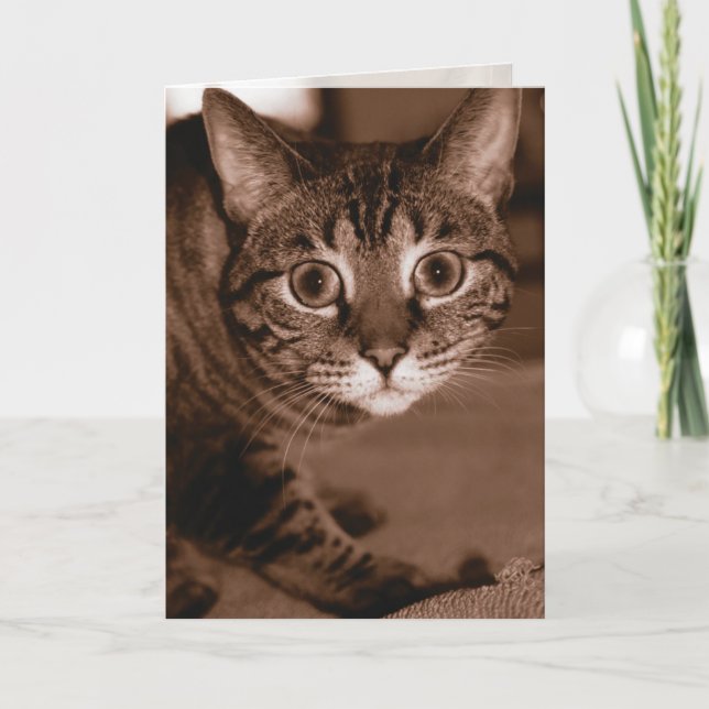 Chat Karte (Vorderseite)