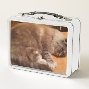 Chat-Lunch Box Metall Brotdose