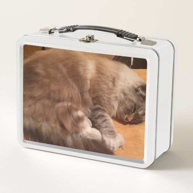 Chat-Lunch Box Metall Brotdose (Vorderseite)