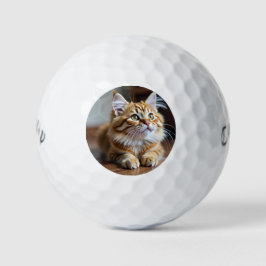 Chat lustig golfball
