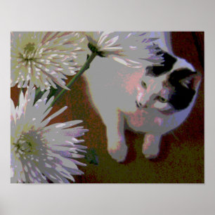 Chat mit Chrysanthema Fine Art Print Poster