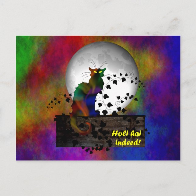 Chat Noir Holi Hai Postkarte (Vorderseite)