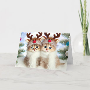 Chat Weihnachtskarte Feiertagskarte