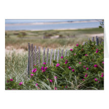 Chatam Light Beach Fence