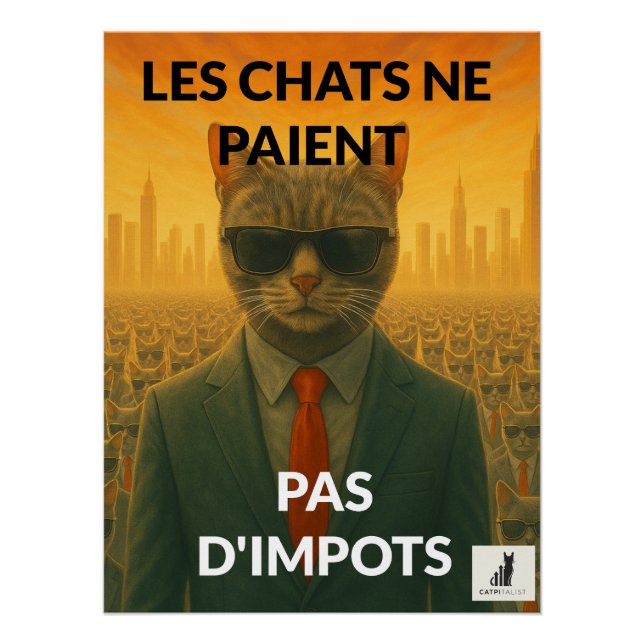Chate Ne Paient Pas d'Impôts Poster (Vorderseite)