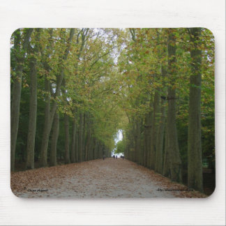 Chateau de Chenonceau Mousepad