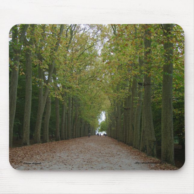 Chateau de Chenonceau Mousepad (Vorne)