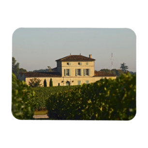 Chateau Lafleur Petrus und Weinberg, in Pomerol, Magnet