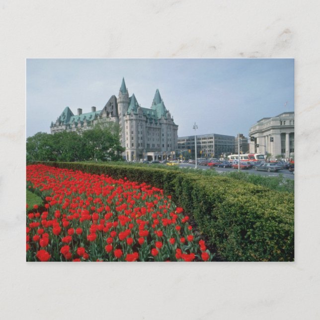 Chateau Laurier Hotel, Ottawa Blume Postkarte (Vorderseite)