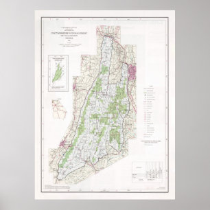 Chattahoochee National Forest Map (1982) Poster