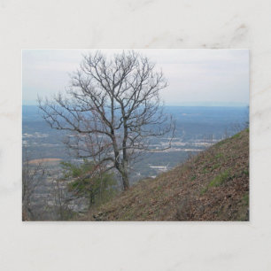 Chattanooga, Tennessee 001 Postkarte
