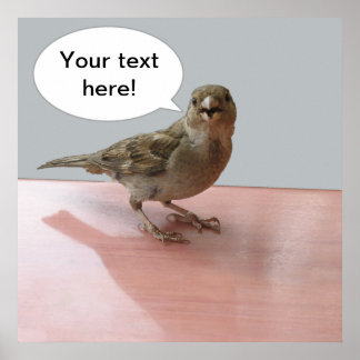 Chattering Sparrow Poster