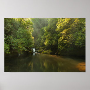 Chattooga River bei Morgendämmerung Poster