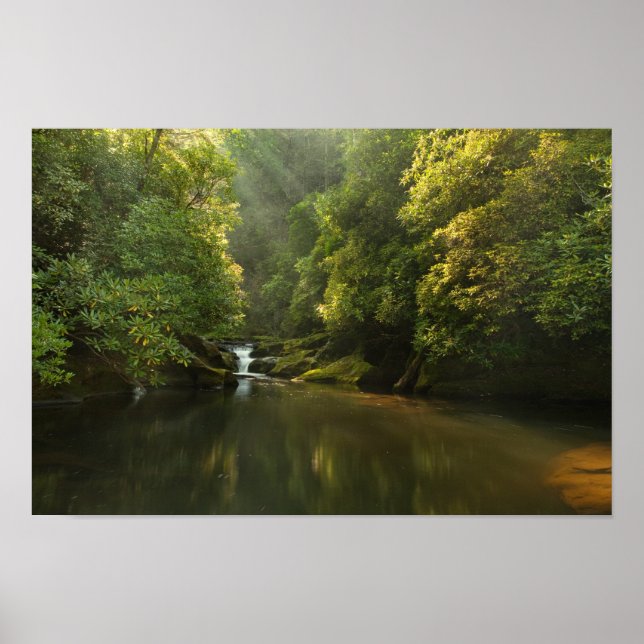 Chattooga River bei Morgendämmerung Poster (Vorne)
