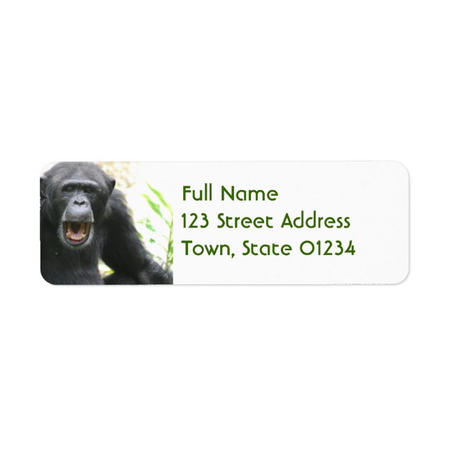 Chatty Chimpanzee Mailing Labels (Vorne)