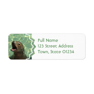Chatty Seelöwe-Rücksendeadressemailings-Aufklebe