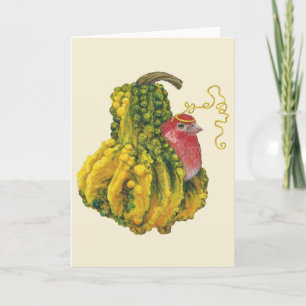 Chauncey, die Hausfink-Karte Karte