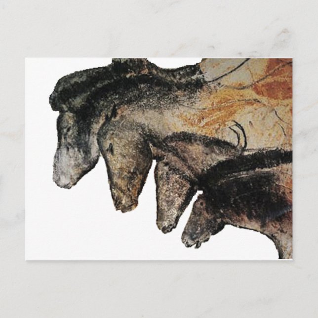 Chauvethorses Grotte Chauvet, Ardèche, Frankreich Postkarte (Vorderseite)