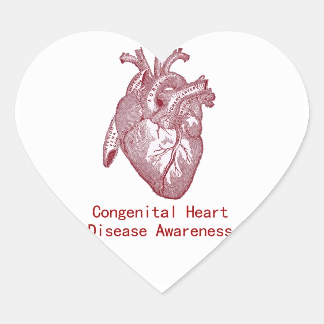 CHD-Aufkleber Herz-Aufkleber (Vorderseite)