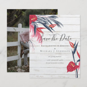 CHEAPEST FOTO Rett Dates Pampas Grass Tropical