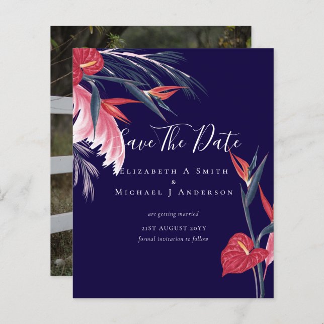 CHEAPEST FOTO Rett Dates Pampas Grass Tropical (Vorne/Hinten)