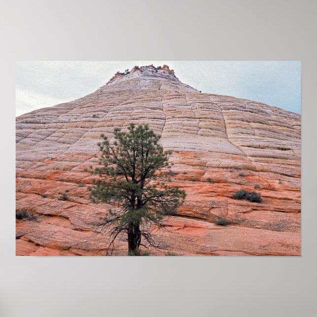 Checkerboard Mesa Zion Nationalpark Poster (Vorne)