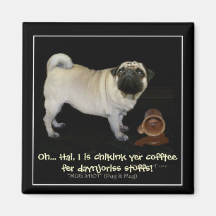 "Checks deines Kaffees..." lustige Magnete