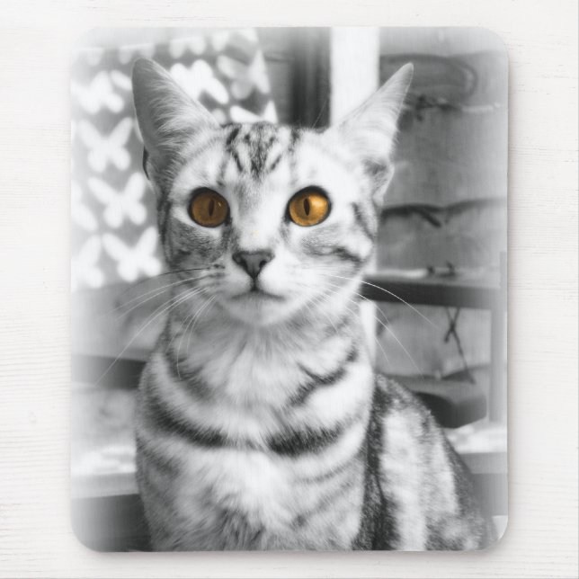 Cheeky Cat Mousepad (Vorne)