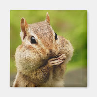 Cheeky Chipmunk Magnet