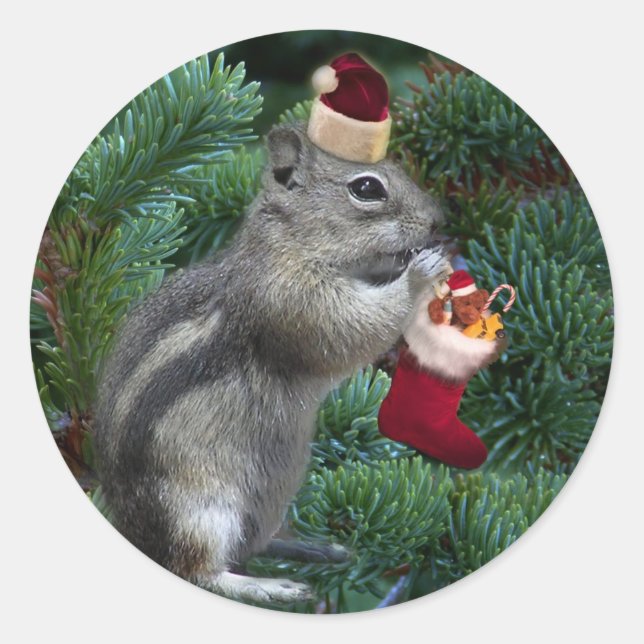 Cheeky Christmas Chipmunk Runder Aufkleber (Vorderseite)