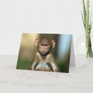 Cheeky Monkey - Niedliche Baby Baboon Card Karte
