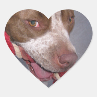 Cheeky Pitbull Herz-Aufkleber
