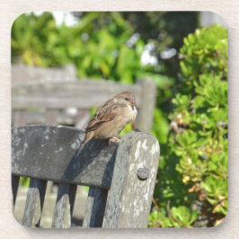 Cheeky Sparrow Getränkeuntersetzer