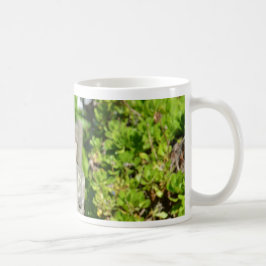 Cheeky Sparrow Kaffeetasse