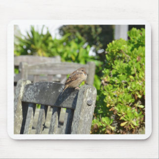 Cheeky Sparrow Mousepad