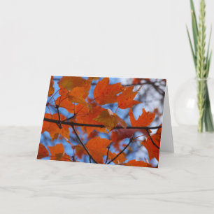 Cheerful Autumn Leaves Feiertagskarte
