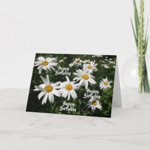 Cheerful Birthday Daisies Card Karte