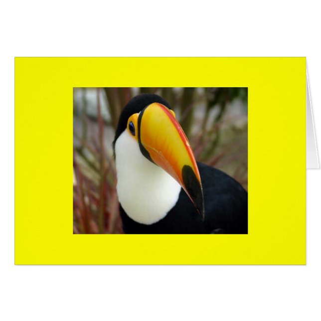 CHEERFUL GRIN (Vorderseite (Horizontal))