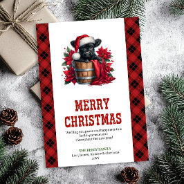 Cheerful highland cow card red poinsettia digital feiertagskarte