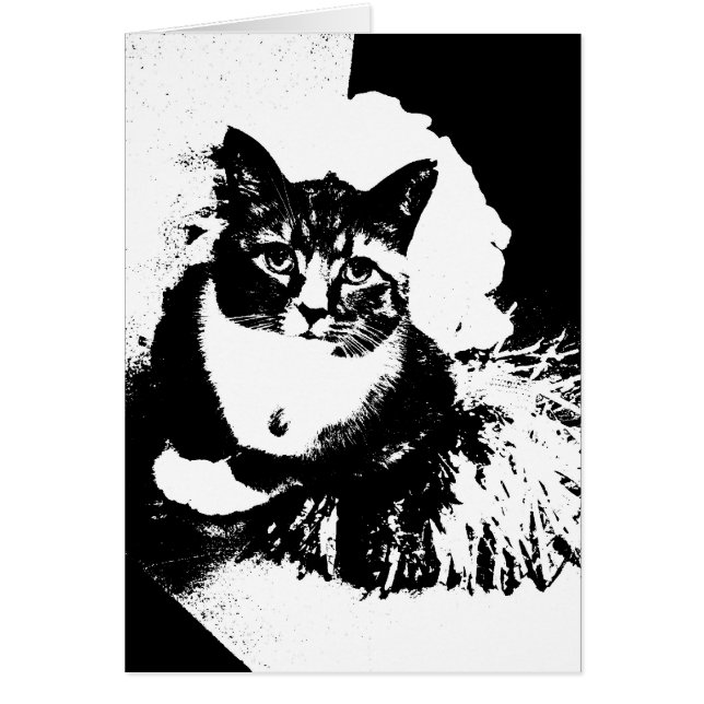 Cheerleader-Katze I haz pom pom! (Vorne)
