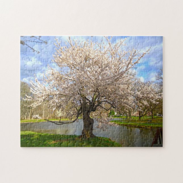 Cheery Blossom New Jersey. Puzzle (Horizontal)