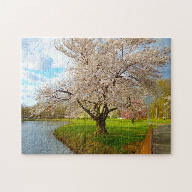 Cheery Blossom New Jersey. Puzzle (Horizontal)