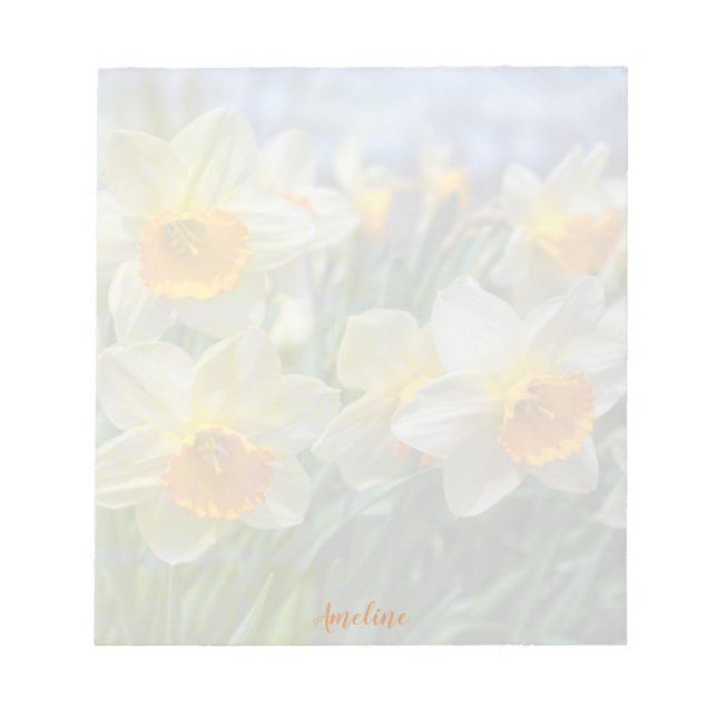 Cheery Daffodils Notizblock (Vorderseite)