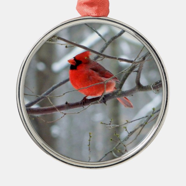 Cheery Kardinal Premium Ornament Aus Metall (Vorne)