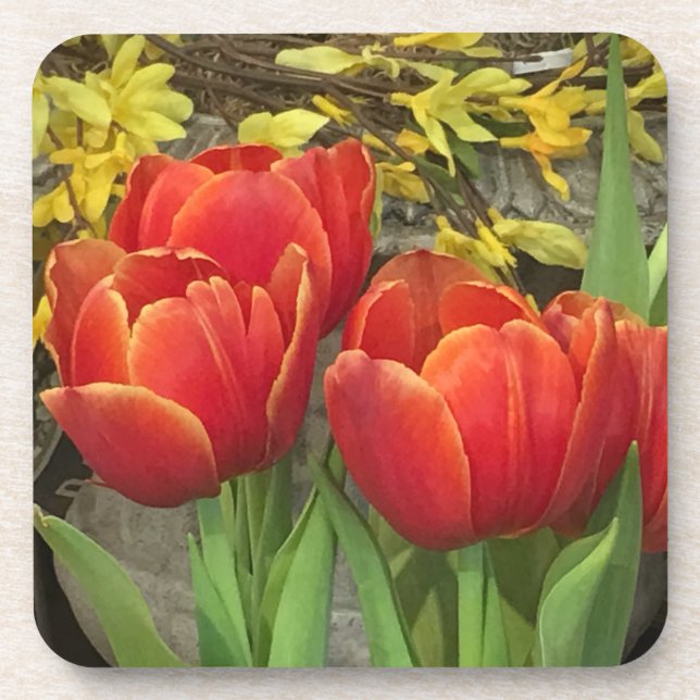 Cheery Tulips Untersetzer (Vorderseite)