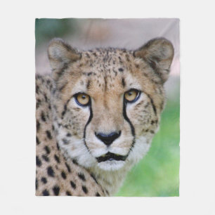 Cheetah 009 fleecedecke